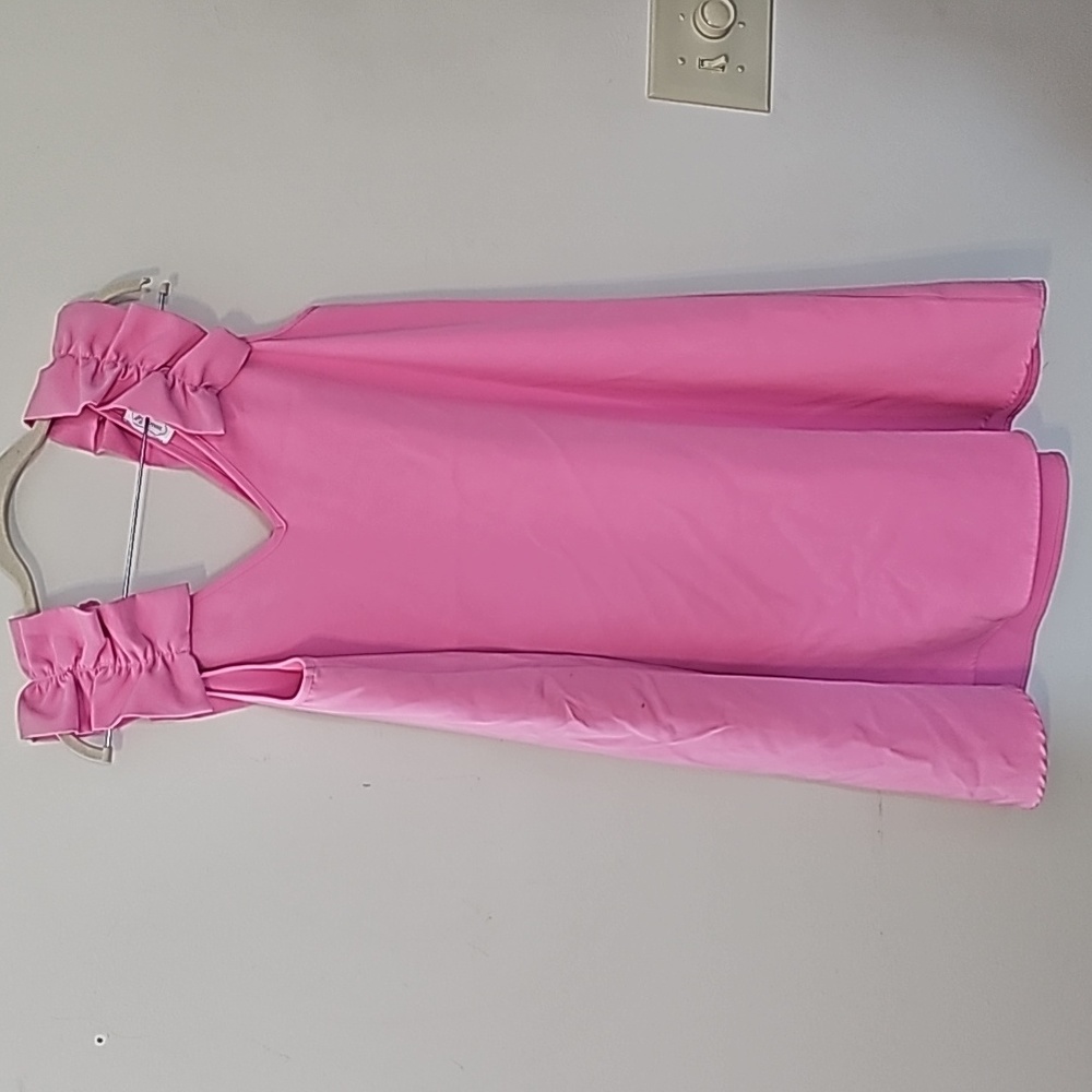 Little Pink Dress